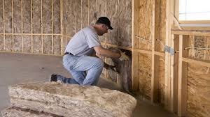 Types of Insulation We Offer in Northlakes, NC